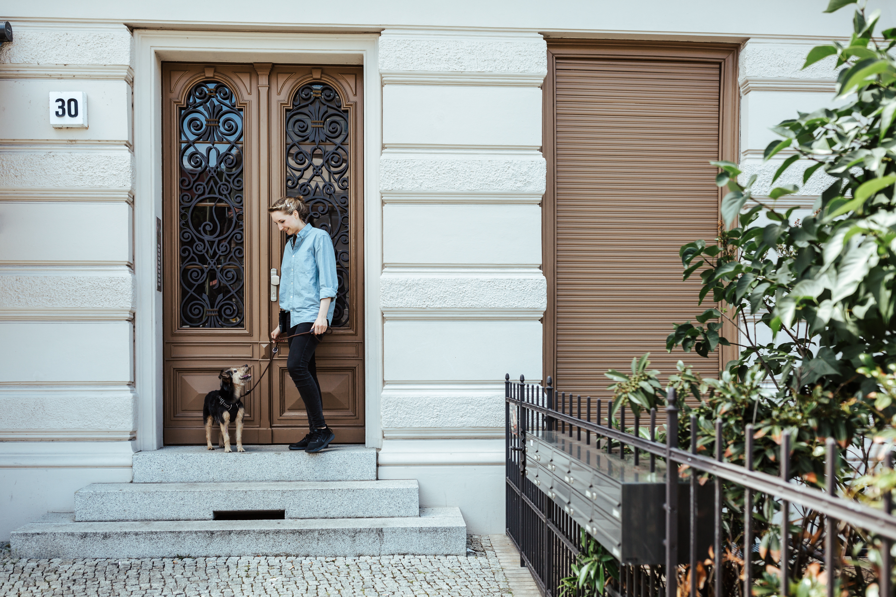 Webinare dein Hundetraining im Wohnzimmer! Dog It Right