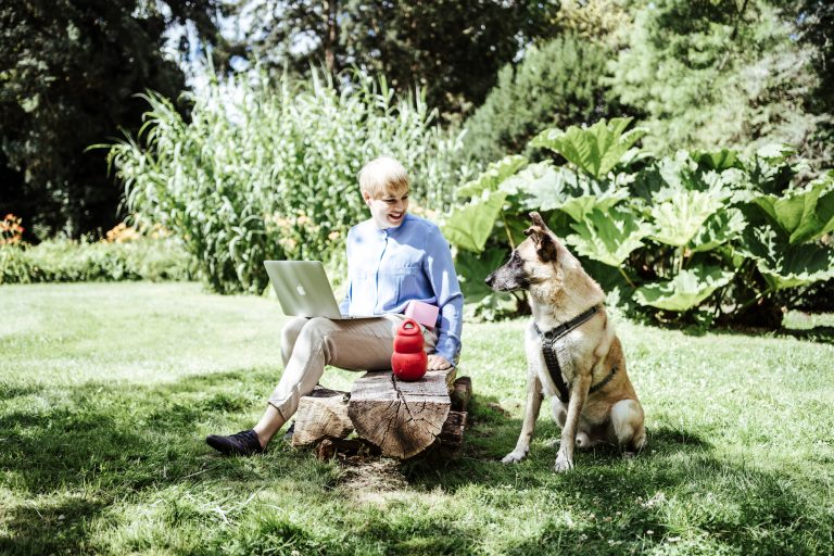 Dog It Right.- Onlineprogramme Dog It Right.- Onlineprogramme