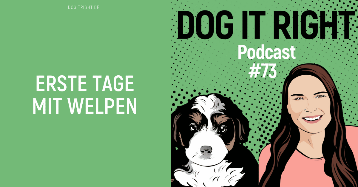 Erste Tage mit Welpen