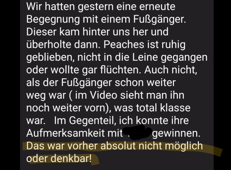 Screenshot_20261023-132718 (1)